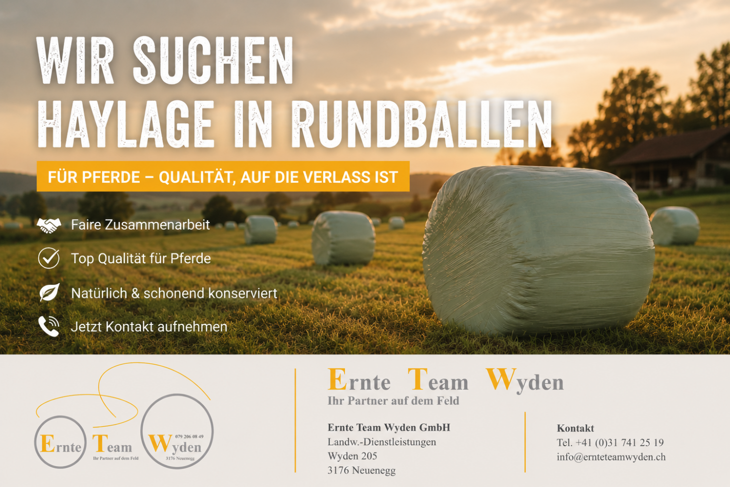 Haylage suche